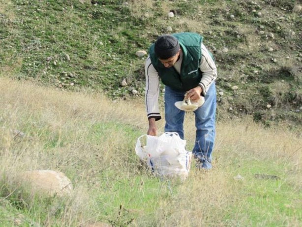 Foto - Duyan poşetleri kaptığı gibi dağa koştu!