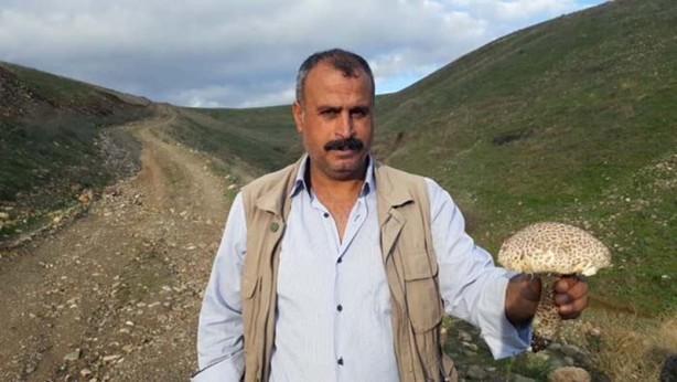 Foto - Duyan poşetleri kaptığı gibi dağa koştu!