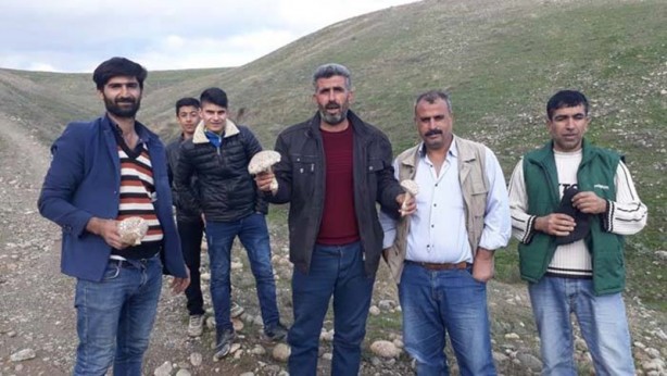 Foto - Duyan poşetleri kaptığı gibi dağa koştu!
