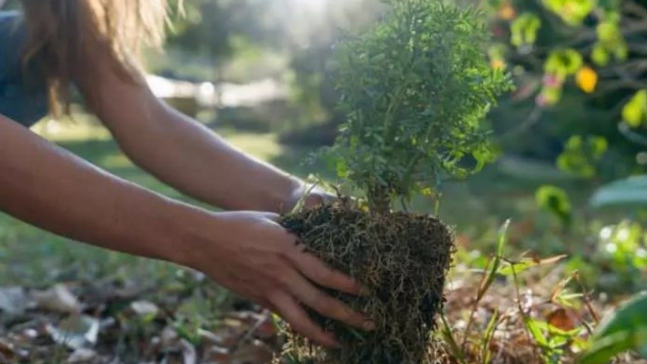 Foto - Duyan yok artık diyor: İşte dünyanın en sıra dışı yasağı...