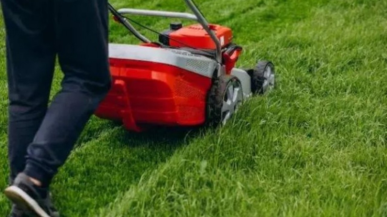 Foto - Duyan yok artık diyor: İşte dünyanın en sıra dışı yasağı...