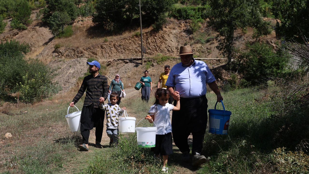 Foto - Duyanlar şaşırıp kalıyor! Burası Giresun değil Adana 