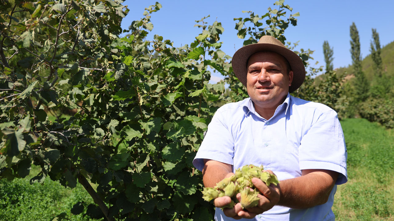 Duyanlar şaşırıp kalıyor! Burası Giresun değil Adana 