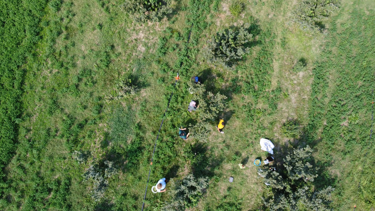 Foto - Duyanlar şaşırıp kalıyor! Burası Giresun değil Adana 