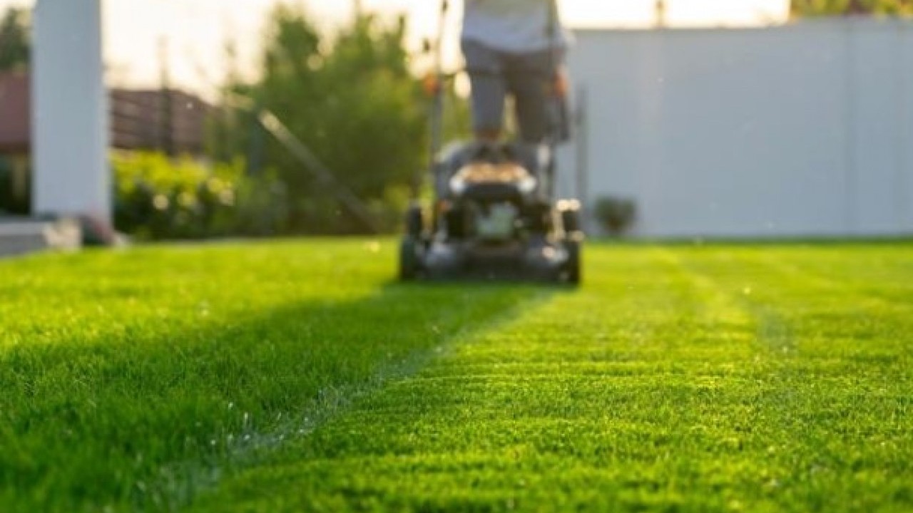Foto - Duyanlar şaşkına döndü! İşte dünyanın en ilginç yasakları