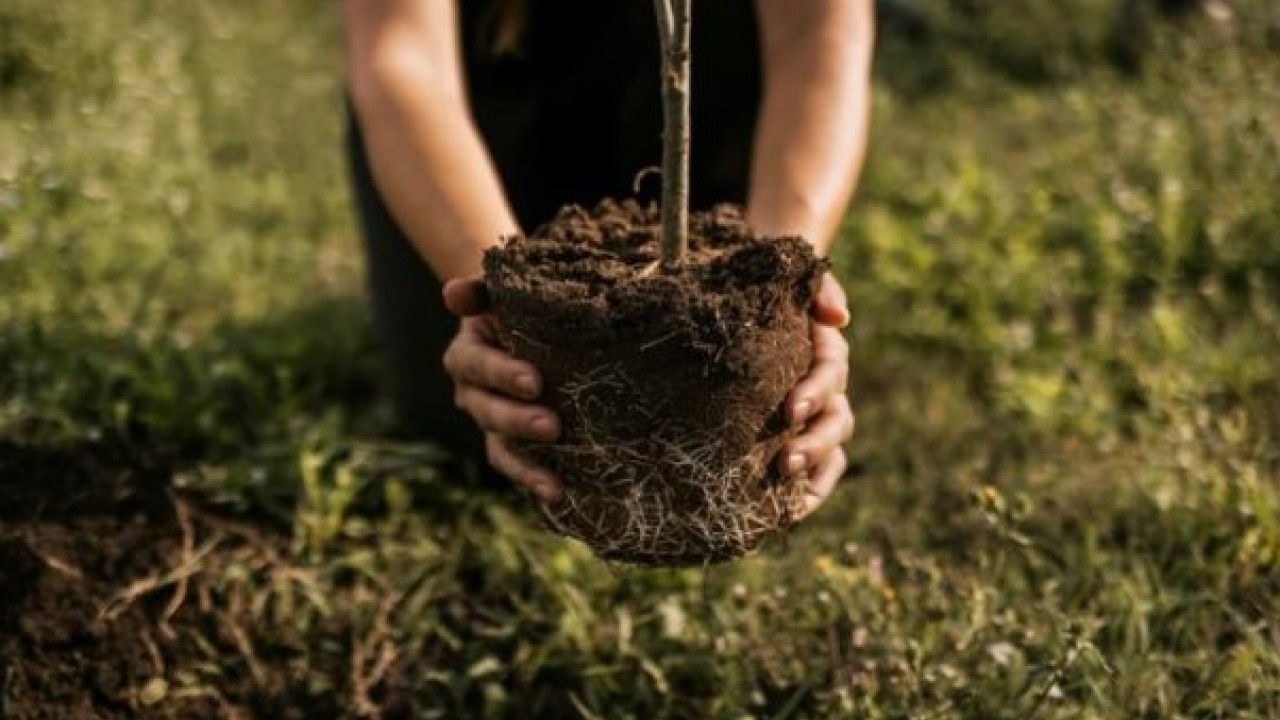 Foto - Duyanlar şaşkına döndü! İşte dünyanın en ilginç yasakları