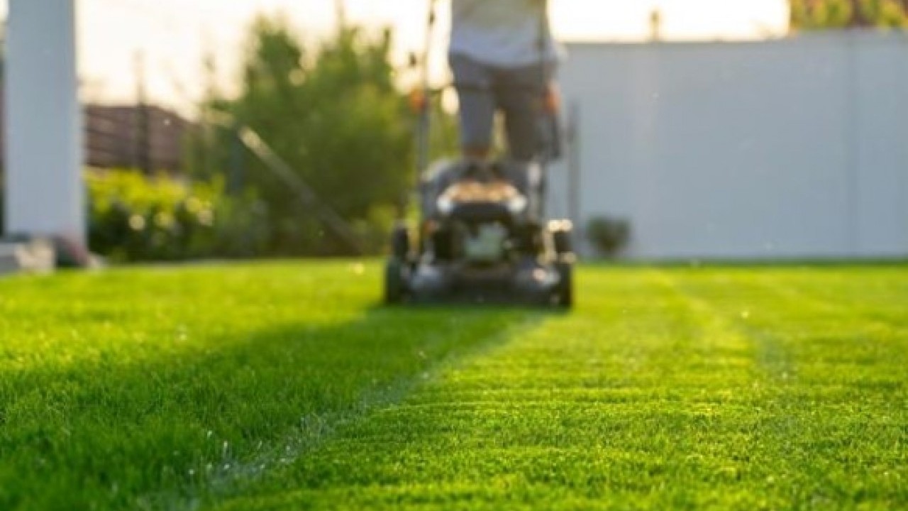 Foto - Duyanlar şaşkına döndü! İşte dünyanın en ilginç yasakları