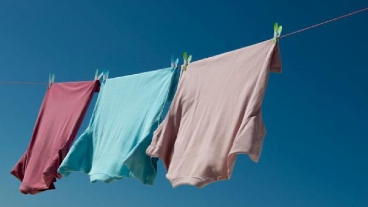 Foto - Duyanlar şaşkına döndü! İşte dünyanın en ilginç yasakları