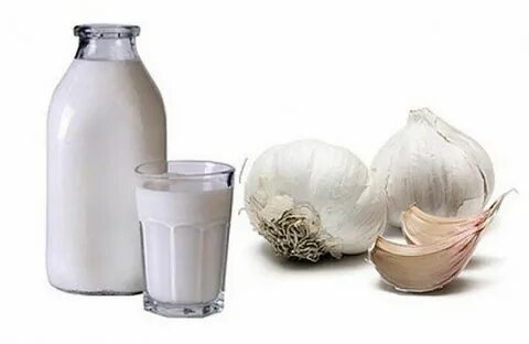 Foto - Duyanları şaşkınlığa uğratan karışım! Süte sarımsak katıp her gün içerseniz bakın bu oluyor