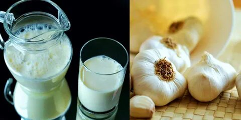 Foto - Duyanları şaşkınlığa uğratan karışım! Süte sarımsak katıp her gün içerseniz bakın bu oluyor