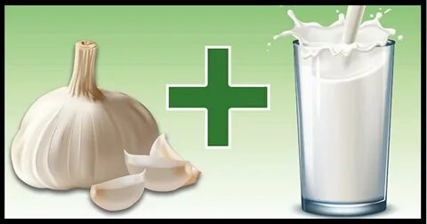 Foto - Duyanları şaşkınlığa uğratan karışım! Süte sarımsak katıp her gün içerseniz bakın bu oluyor