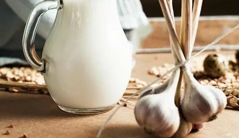 Foto - Duyanları şaşkınlığa uğratan karışım! Süte sarımsak katıp her gün içerseniz bakın bu oluyor