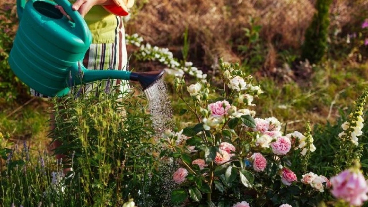 Foto - Duyduğunuzda lavaboya dökmeyeceksiniz! Makarna suyunun bilinmeyen faydası açıklandı