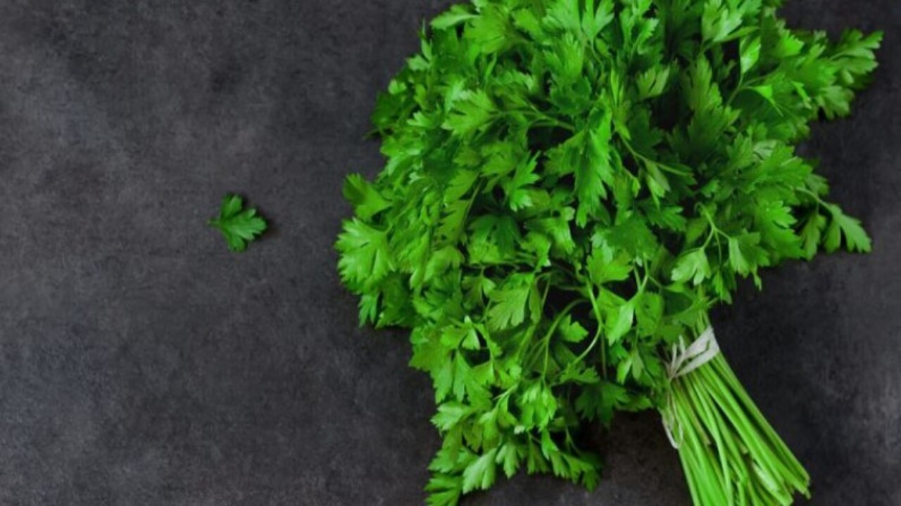 Duyduktan sonra asla atmayacaksınız! Maydonozun sapında öyle bir fayda var ki...