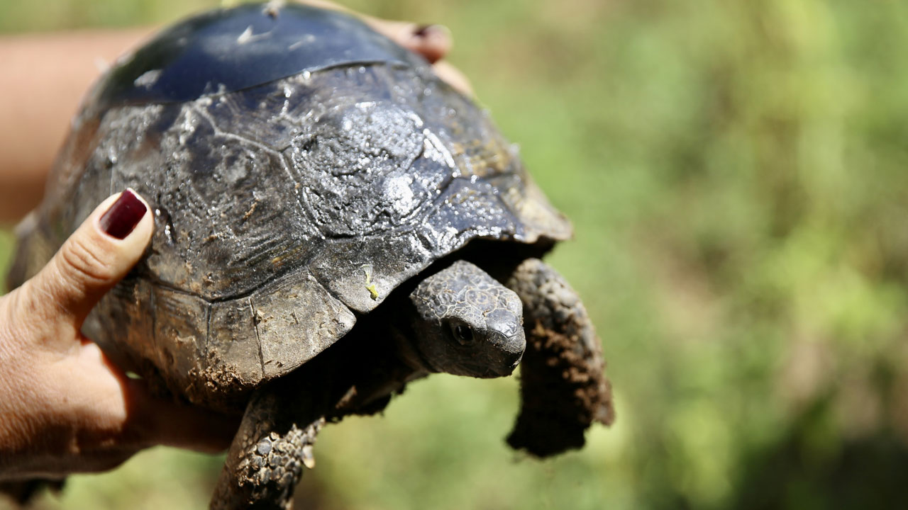 Duygulandıran anlar yaşandı! Ahşap ustasının ellerinde hayata tutundu