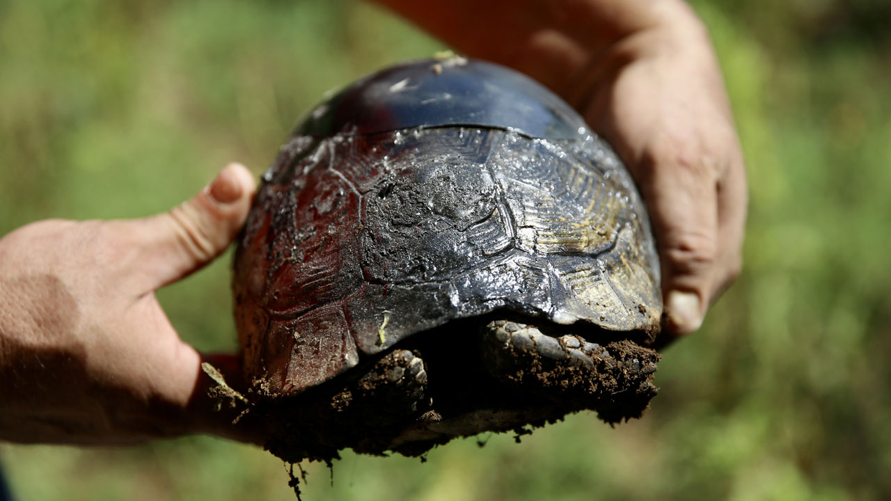 Foto - Duygulandıran anlar yaşandı! Ahşap ustasının ellerinde hayata tutundu