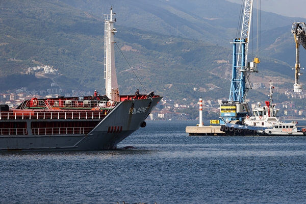 Foto - Duygularını böyle anlattı: Tüylerim diken diken oldu
