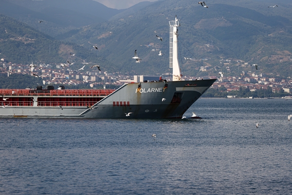 Foto - Duygularını böyle anlattı: Tüylerim diken diken oldu