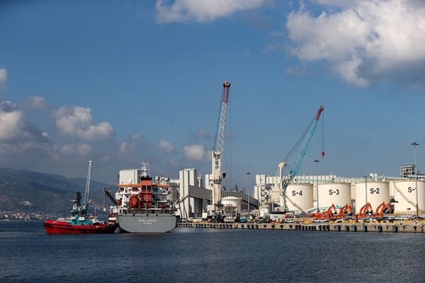 Foto - Duygularını böyle anlattı: Tüylerim diken diken oldu