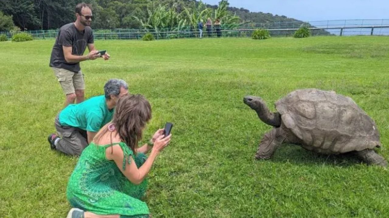 Foto - Binlerce yıl hayatta kalıyor: İşte en uzun yaşayan canlılar!