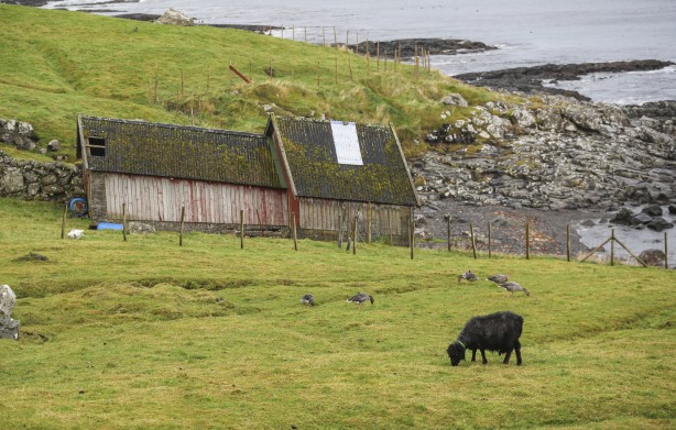 Foto - Duyunca çok şaşıracaksınız! Faroe Adaları ile ilgili çok ilginç bilgiler