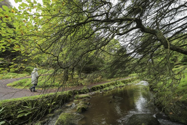 Foto - Duyunca çok şaşıracaksınız! Faroe Adaları ile ilgili çok ilginç bilgiler