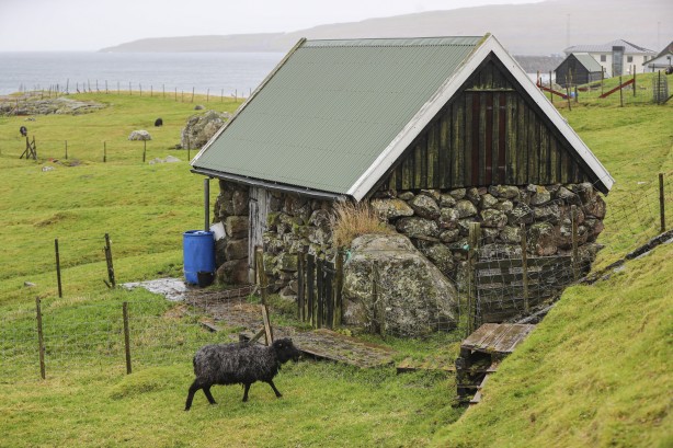 Foto - Duyunca çok şaşıracaksınız! Faroe Adaları ile ilgili çok ilginç bilgiler