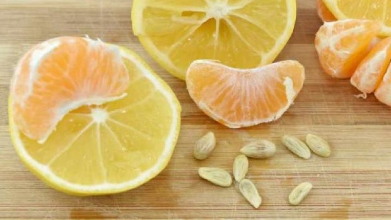 Foto - Duyunca çok şaşıracaksınız! Limon çekirdeğinin faydası açıklandı