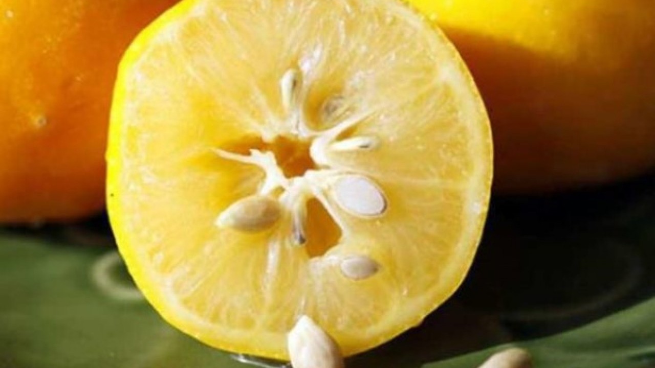 Foto - Duyunca çok şaşıracaksınız! Limon çekirdeğinin faydası açıklandı