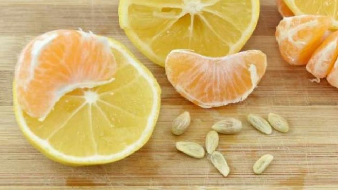 Foto - Duyunca çok şaşıracaksınız! Limon çekirdeğinin faydası açıklandı