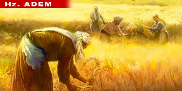 Foto - Duyunca çok şaşıracaksınız! Peygamberler ne iş yapıyordu?
