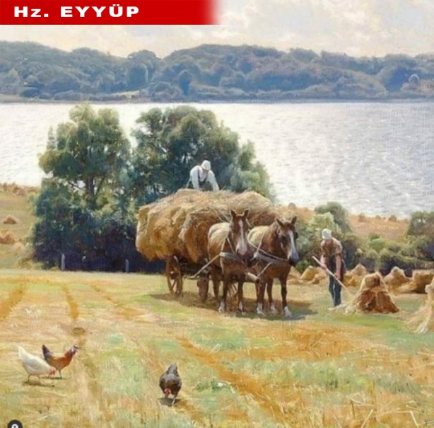 Foto - Duyunca çok şaşıracaksınız! Peygamberler ne iş yapıyordu?