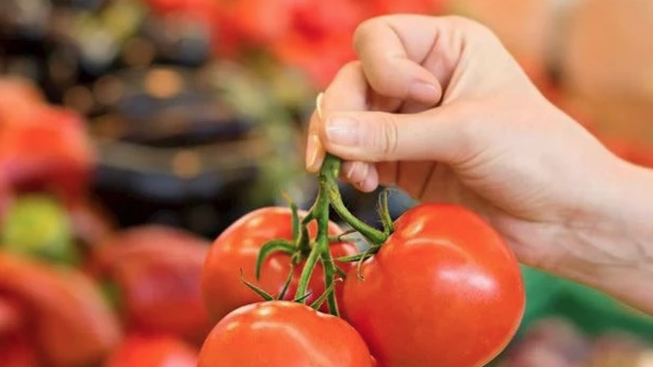 Duyurdular! Domatesle ilgili bu gelişmeyi kimse beklemiyordu gerçekten... Boşa çürütüyormuşuz