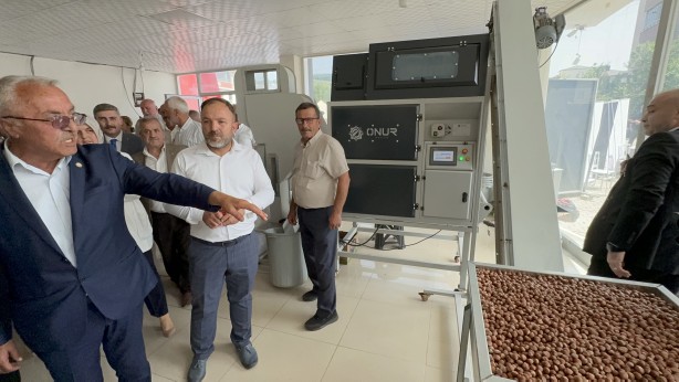 Foto - Düzce’de fındık işleme tesisi açıldı! Binlerce ton fındık üretiliyor