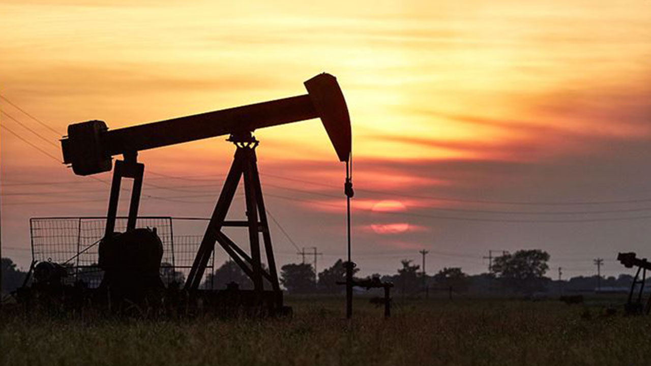 Düzce'de harıl harıl petrol aranıyordu! Kötü haber maalesef geldi