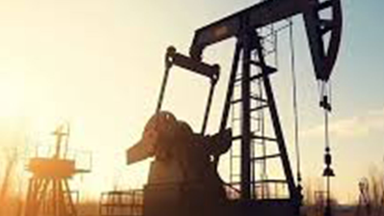 Foto - Düzce'de harıl harıl petrol aranıyordu! Kötü haber maalesef geldi