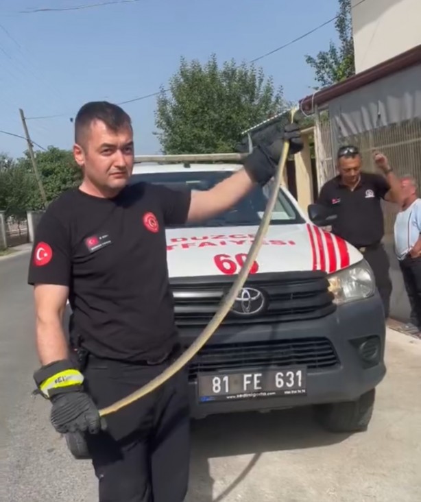 Foto - Düzce'de markette yılan paniği