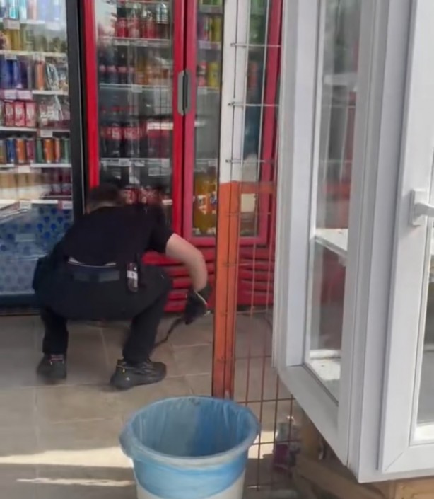 Foto - Düzce'de markette yılan paniği