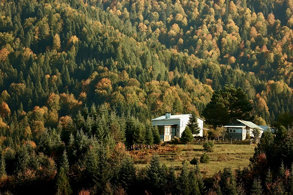 Düzce'de sonbahar renkleri mest etti