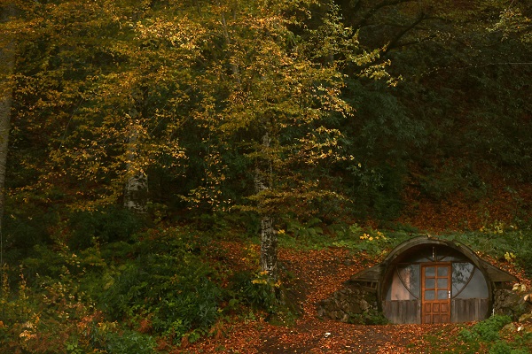 Foto - Düzce'de tabloluk sonbahar manzaraları
