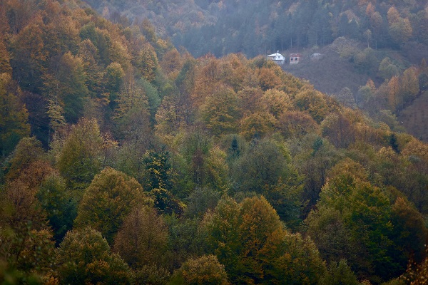 Düzce'de tabloluk sonbahar manzaraları