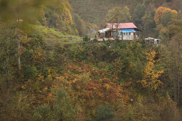 Foto - Düzce'de tabloluk sonbahar manzaraları