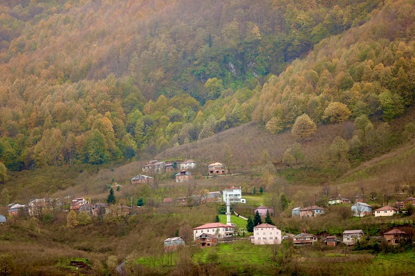 Foto - Düzce'de tabloluk sonbahar manzaraları