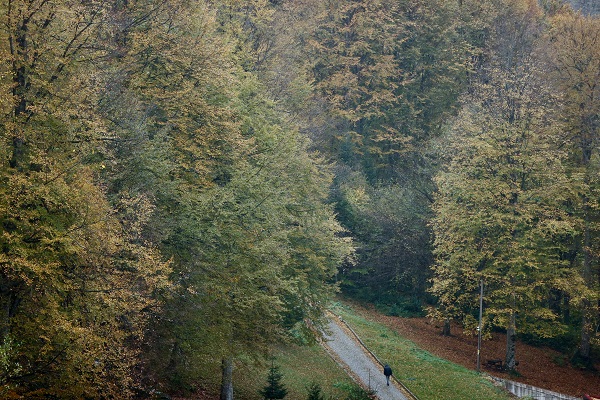 Foto - Düzce'de tabloluk sonbahar manzaraları