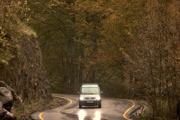 Foto - Düzce'de tabloluk sonbahar manzaraları