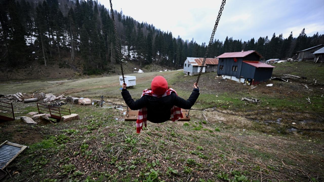 Düzce'nin yaylalarında kış ve ilkbahar bir arada yaşanıyor