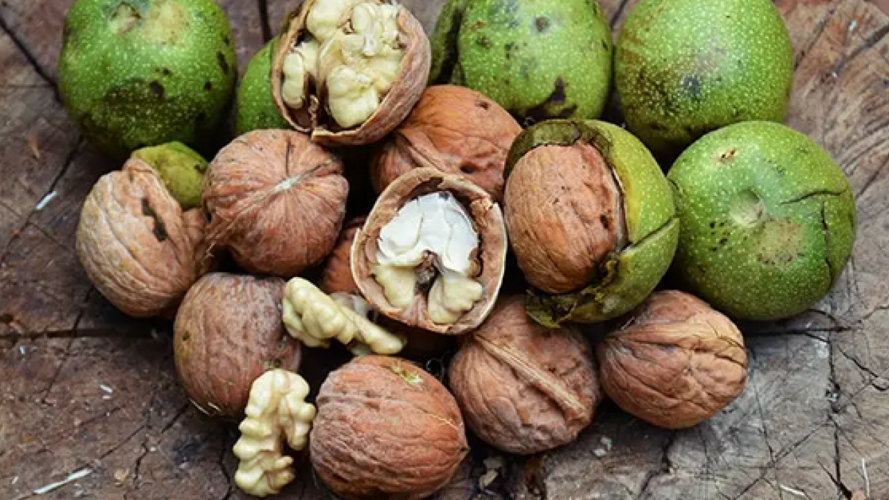 Foto - Düzenli ceviz tüketen genç yetişkinlerin uyku kaliteleri artıyor! Uykusuz geçen gecelere son! Sizi kurtaracak olan ceviz olacak