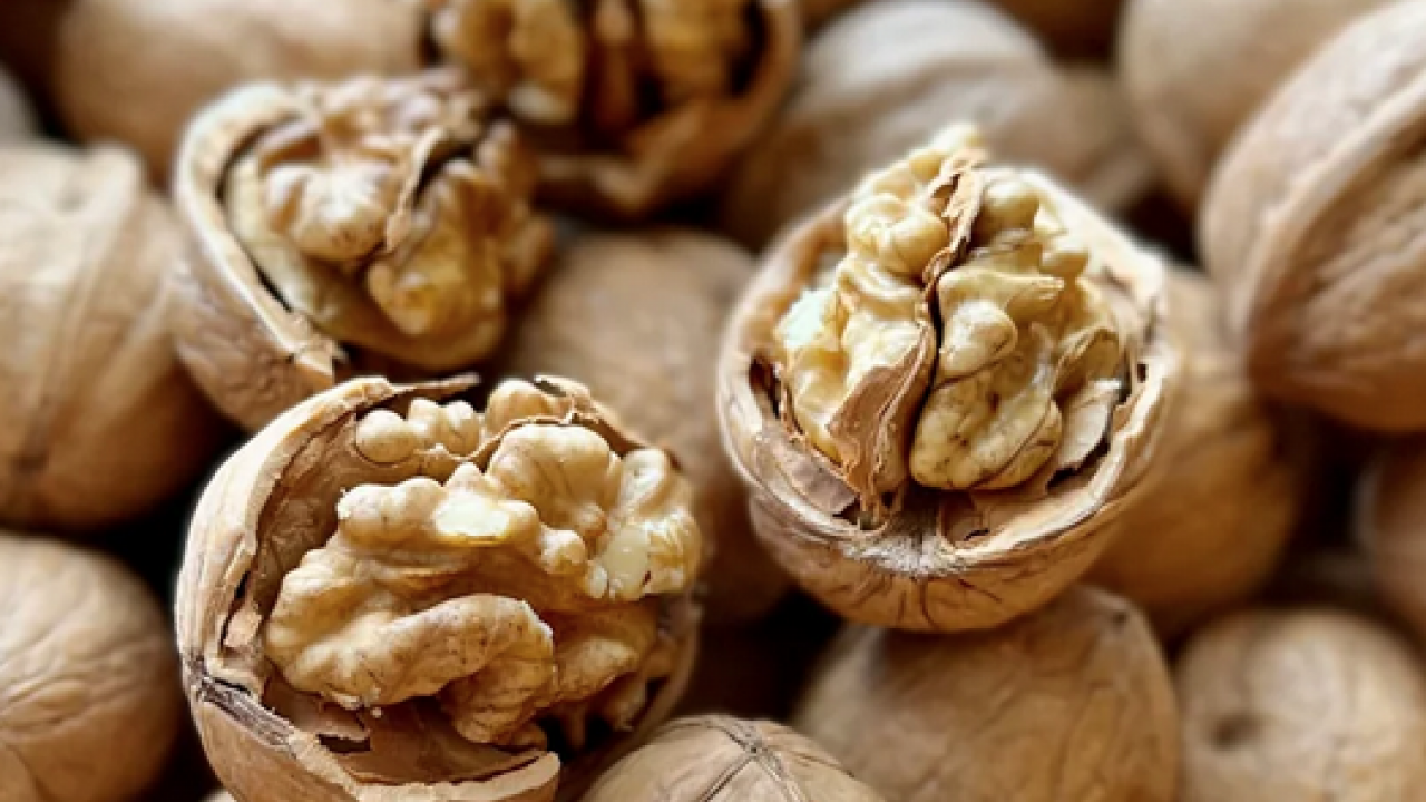 Foto - Düzenli ceviz tüketen genç yetişkinlerin uyku kaliteleri artıyor! Uykusuz geçen gecelere son! Sizi kurtaracak olan ceviz olacak