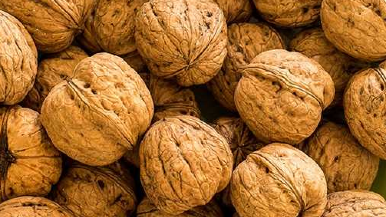 Foto - Düzenli ceviz tüketen genç yetişkinlerin uyku kaliteleri artıyor! Uykusuz geçen gecelere son! Sizi kurtaracak olan ceviz olacak