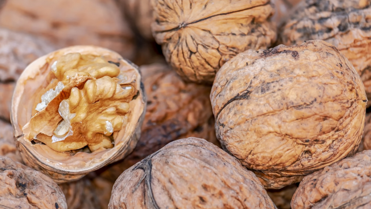 Foto - Düzenli ceviz tüketen genç yetişkinlerin uyku kaliteleri artıyor! Uykusuz geçen gecelere son! Sizi kurtaracak olan ceviz olacak